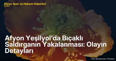 Afyon Yeşilyol'da Bıçaklı Saldırganın Yakalanması: 19 Mayıs Olayının Detayları