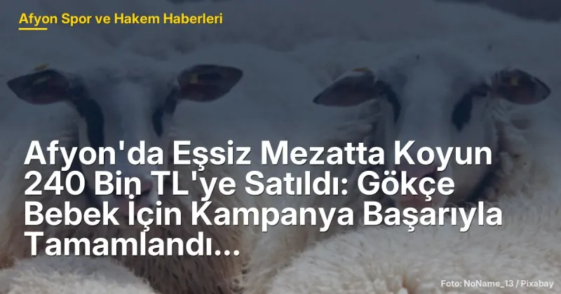 Afyon İscehisar'da Gökçe Bebek İçin 240 Bin TL'ye Koyun Satıldı: Mezatta Dayanışma Rüzgarı
