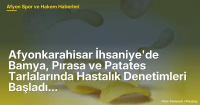 Afyonkarahisar İhsaniye'de Bamya, Pırasa ve Patates Tarlalarında Hastalık Denetimleri Başladı