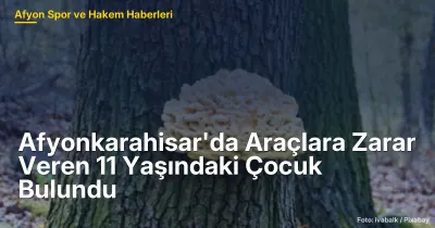 Afyonkarahisar'da 11 Yaşındaki Çocuğun Vandalizmi: Araçlara Zarar Verildi