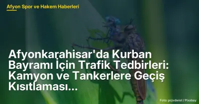 Afyonkarahisar'da Kurban Bayramı İçin Trafik Tedbirleri: 334 Bin Personel ve Araç Geçiş Kısıtlaması