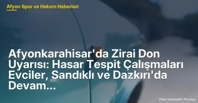 Afyonkarahisar'da Zirai Don Uyarısı: Evciler, Sandıklı ve Dazkırı'da Hasar Tespit Çalışmaları Devam Ediyor