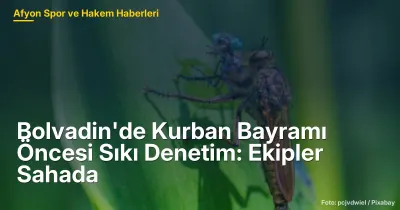 Bolvadin'de Kurban Bayramı Öncesi Sıkı Denetim: Ekipler Sahada