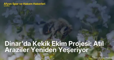 Dinar'da Kekik Ekim Projesi ile Atıl Araziler Yeniden Değerlendiriliyor