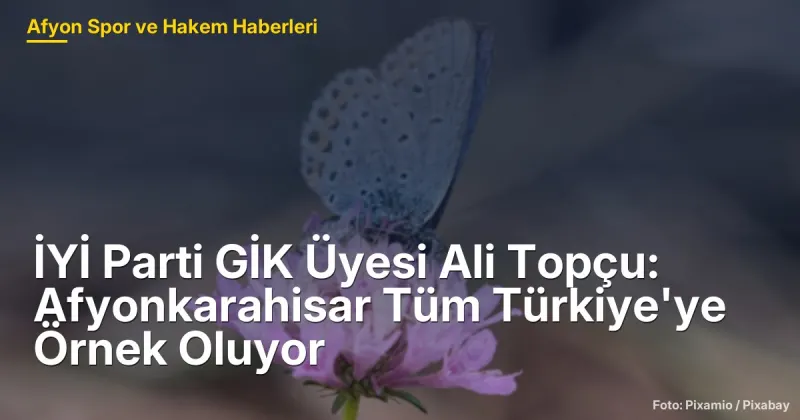 Afyonkarahisar'da İYİ Parti'nin Seçim Stratejisi ve Başarıları