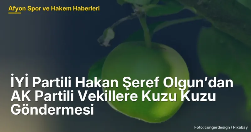 İYİ Partili Hakan Şeref Olgun'dan AK Partili Vekillere Eleştiriler: Siyasi Çelişkiler ve Yerel Etkiler