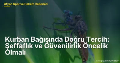 Afyon'da Kurban Bağışında Doğru Tercih: Şeffaflık ve Güvenilirlik Öncelikli Olmalı