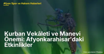 Kurban Vekâleti ve Manevi Önemi: Afyonkarahisar'daki Etkinlikler ve Toplumsal Dayanışma