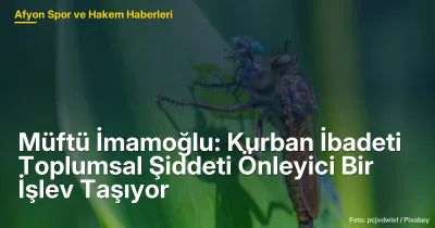 Afyonkarahisar'da Kurban İbadeti: Toplumsal Şiddeti Önleyici Rolü ve Ruhsal Etkileri