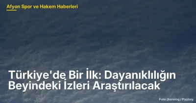 Türkiye'de Bir İlk: Afyonkarahisar'da Dayanıklılığın Beyindeki İzleri Araştıracak Proje