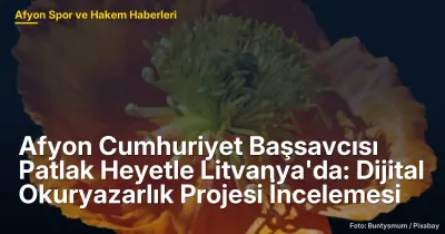 Afyon Cumhuriyet Başsavcısı Patlak, Litvanya'da Dijital Okuryazarlık Projesi İncelemeleri İçin Heyetle Bulundu