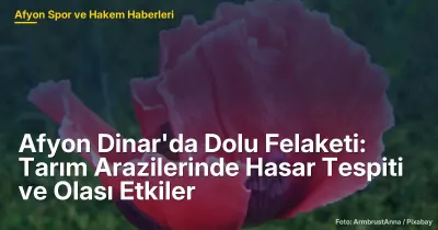 Afyon Dinar'da Dolu Felaketi: Tarım Arazilerinde Hasar Tespiti ve Ekonomik Etkiler