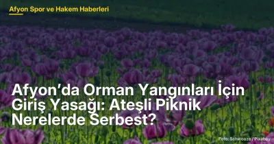 Afyon’da Orman Yangınları İçin Giriş Yasağı: Ateşli Piknik Alanları Belirlendi
