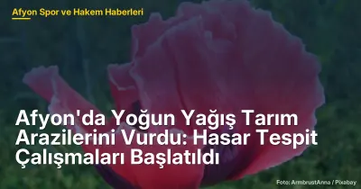 Afyonkarahisar'da Aşırı Yağışlar Tarım Arazilerini Olumsuz Etkiledi: Hasar Tespit Çalışmaları Hızla Başlatıldı