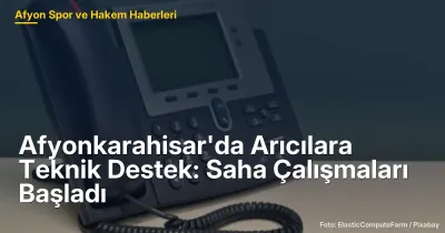 Afyonkarahisar Sandıklı'da Arıcılara Teknik Destek: Saha Denetimleri 2023'te Başladı