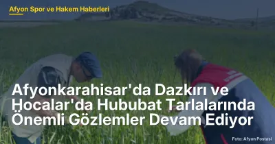 Afyonkarahisar'da Dazkırı ve Hocalar'da Hububat Tarlalarında Önemli Gözlemler Devam Ediyor