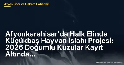 Afyonkarahisar'da Küçükbaş Hayvan Islahı Projesi: 2026 Doğumlu Kuzular Kayıt Altında