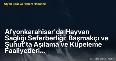 Afyonkarahisar'da Hayvan Sağlığı Seferberliği: Başmakçı ve Şuhut'ta 1000 Hayvan Aşılanacak