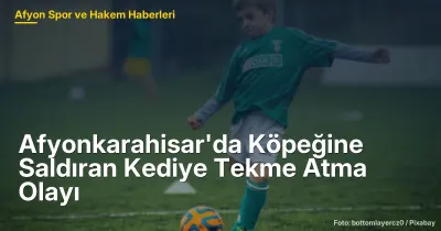 Afyonkarahisar'da Kedinin Köpeğe Saldırması: 5 Dikkat Çekici Olay