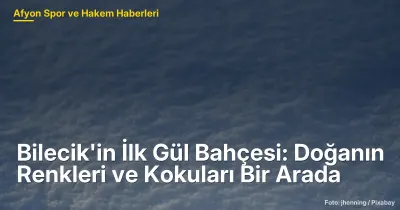 Bilecik'in İlk Gül Bahçesi: Doğanın Renkleri ve Kokuları Bir Arada