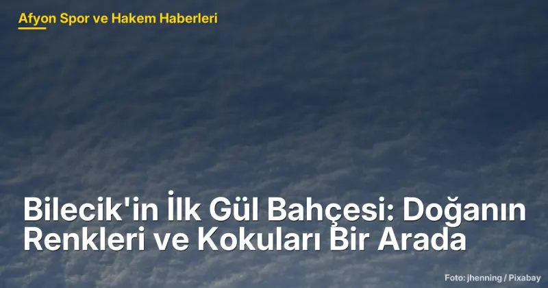 Bilecik'in İlk Gül Bahçesi: Doğanın Renkleri ve Kokuları Bir Arada