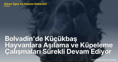 Bolvadin'de Aşılama ve Küpeleme Çalışmaları Sürekli Devam Ediyor