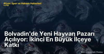Bolvadin'de Yeni Hayvan Pazarı Açılıyor: Yerel Ekonomiye 70 Üretici Katkı Sağlayacak