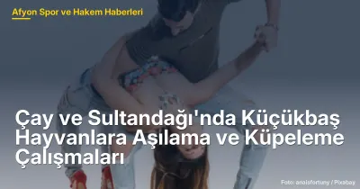 Çay ve Sultandağı'nda Küçükbaş Hayvanlara Aşılama ve Küpeleme Çalışmaları Başladı
