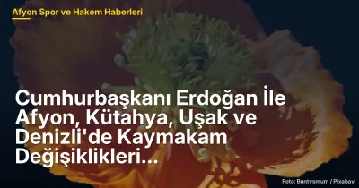 Cumhurbaşkanı Erdoğan İle Afyonkarahisar ve Çevresindeki Kaymakam Değişiklikleri: 39 Yeni Atama