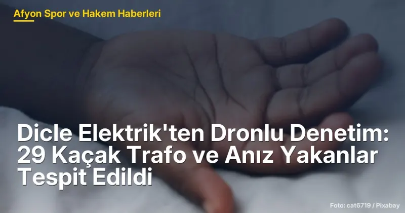 Dicle Elektrik'ten Dronlu Denetim: Şanlıurfa'da 29 Kaçak Trafo ve Anız Yakanlar Tespit Edildi
