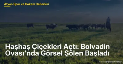 Haşhaş Çiçekleri Açtı: Bolvadin Ovası'nda Görsel Şölen Başladı