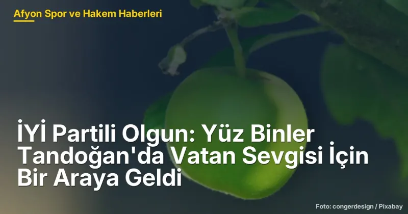 İYİ Partili Olgun: Yüz Binler Tandoğan'da Vatan Sevgisi İçin Bir Araya Geldi