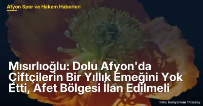 Afyon'da Dolu Felaketi: Çiftçilerin Yıllık Emeği Yok Oldu, Afet Bölgesi İlan Edilmeli