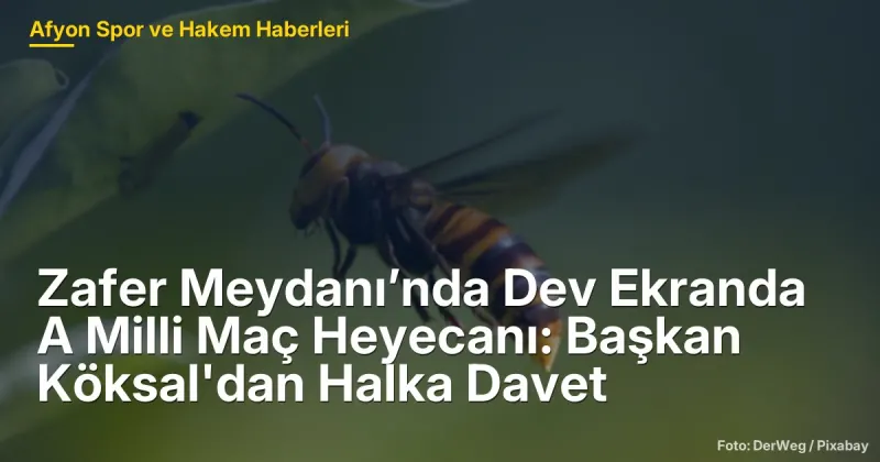 Afyonkarahisar'da Dev Ekranda A Milli Maç Heyecanı: Başkan Köksal'dan Davet