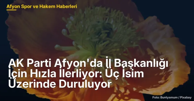 Afyonkarahisar'da AK Parti İl Başkanlığı İçin Üç Aday Belirlendi
