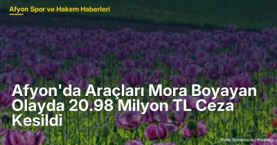 Afyon'da Araçları Mora Boyayan Olayda 20.98 Milyon TL Ceza Kesildi