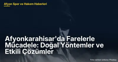 Afyonkarahisar'da Farelerle Mücadele: Doğal Yöntemler ve Etkili Çözümler