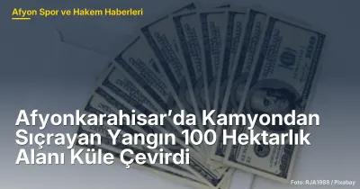 Afyonkarahisar’da Kamyondan Sıçrayan Yangın 100 Hektarlık Alanı Küle Çevirdi