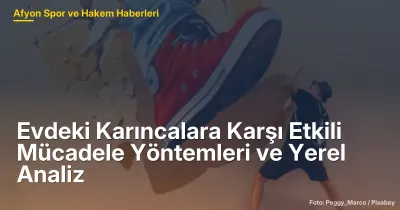 Afyonkarahisar'da Karıncalara Karşı Etkili Mücadele Yöntemleri ve Yerel Analiz