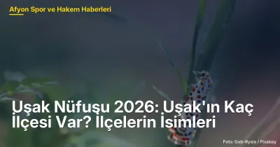 Uşak Nüfusu 2026: Uşak'ın Kaç İlçesi Var? İlçelerin İsimleri