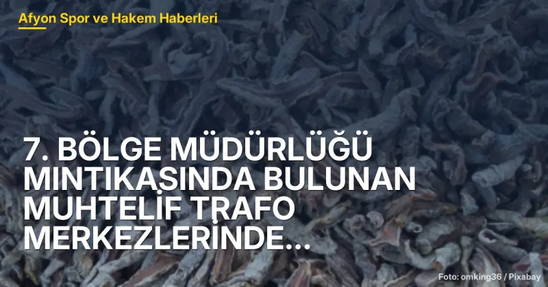7. BÖLGE MÜDÜRLÜĞÜ MINTIKASINDA BULUNAN MUHTELİF TRAFO MERKEZLERİNDE VE HEMZEMİN GEÇİTLERDE CCTV KAMERA KURULUMU İŞİ