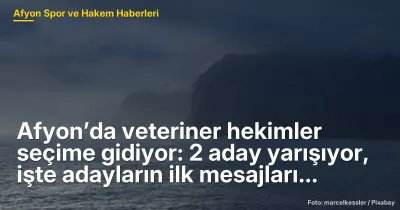 Afyon’da Veteriner Hekimler Seçime Gidiyor: 2 Aday Yarışıyor