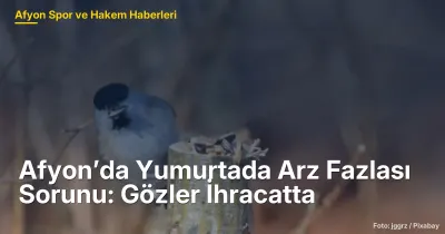 Afyon’da Yumurtada Arz Fazlası Sorunu ve İhracat Çözüm Arayışları