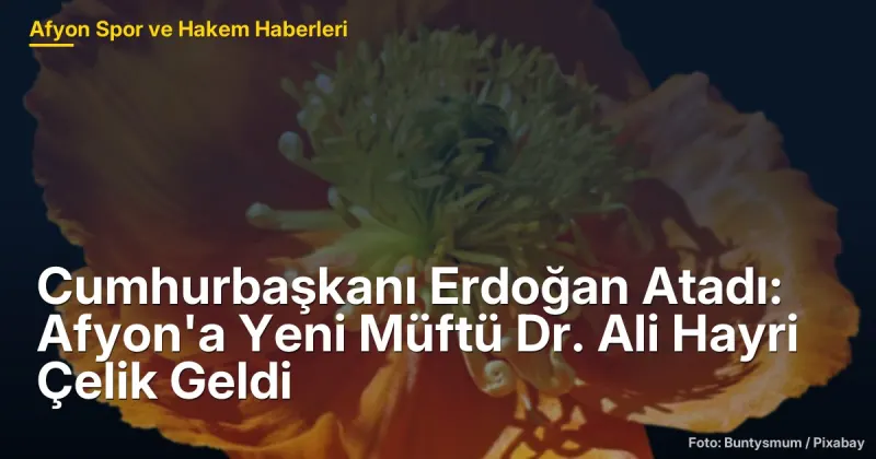 Cumhurbaşkanı Erdoğan Atadı: Afyonkarahisar'a Yeni Müftü Dr. Ali Hayri Çelik Geldi