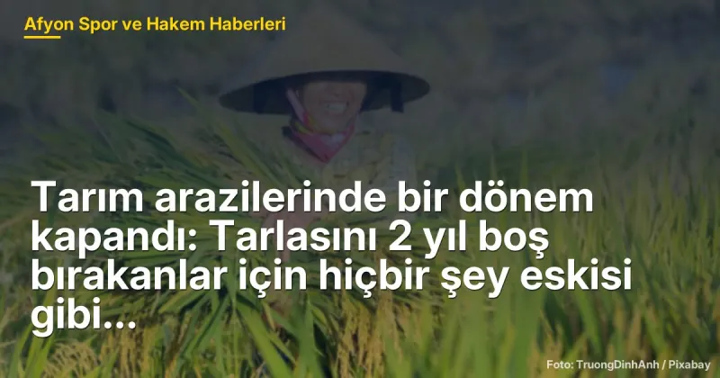Tarım arazilerinde bir dönem kapandı: Tarlasını 2 yıl boş bırakanlar için hiçbir şey eskisi gibi olmayacak