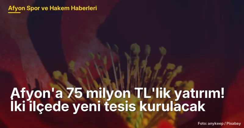 Afyon'a 75 milyon TL'lik yatırım! İki ilçede yeni tesis kurulacak