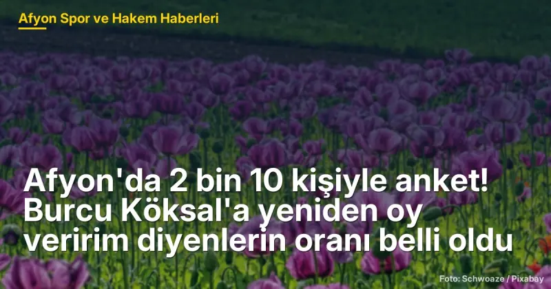 Afyon'da 2 bin 10 kişiyle anket! Burcu Köksal'a yeniden oy veririm diyenlerin oranı belli oldu