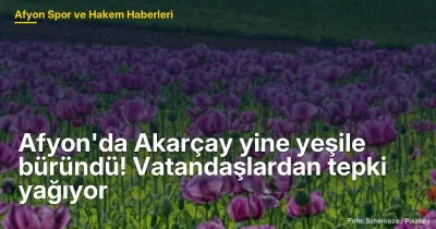 Afyon'da Akarçay yine yeşile büründü! Vatandaşlardan tepki yağıyor