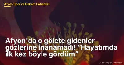 Afyon'da o gölete gidenler gözlerine inanamadı! “Hayatımda ilk kez böyle gördüm”