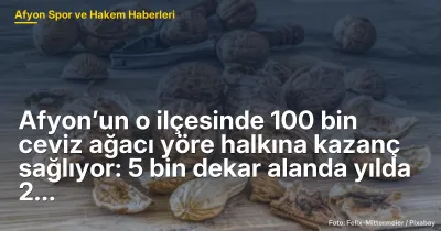 Afyon’un o ilçesinde 100 bin ceviz ağacı yöre halkına kazanç sağlıyor: 5 bin dekar alanda yılda 2 bin ton ürün!